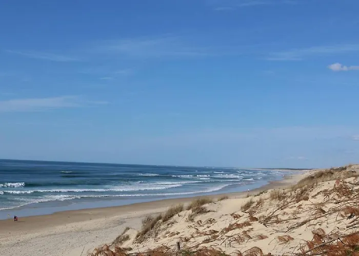 2 Et Jardin A Navarrosse Biscarrosse